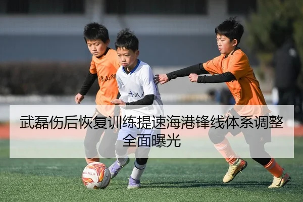 武磊伤后恢复训练提速海港锋线体系调整全面曝光