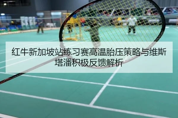 红牛新加坡站练习赛高温胎压策略与维斯塔潘积极反馈解析